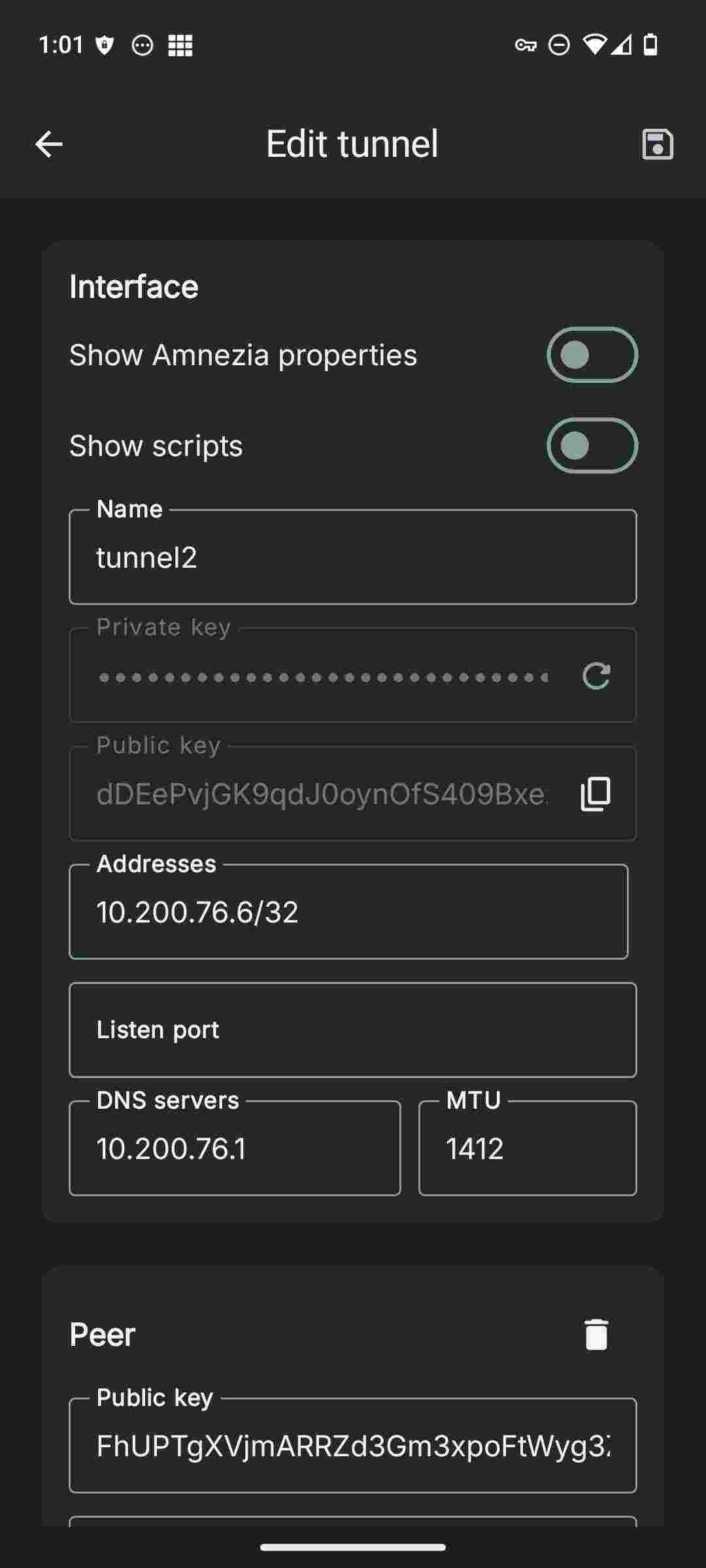 WG Tunnel screenshot