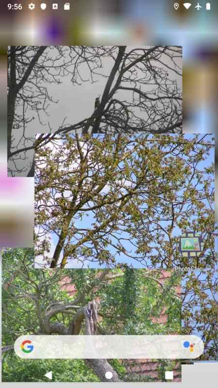 PhotoChiotte screenshot