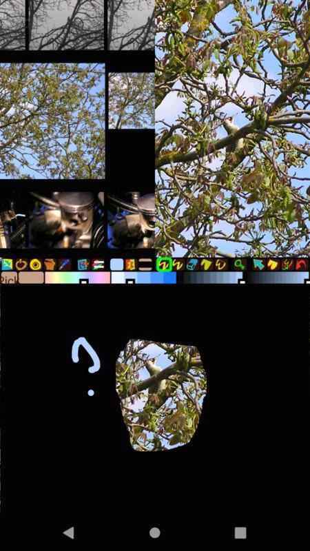 PhotoChiotte screenshot