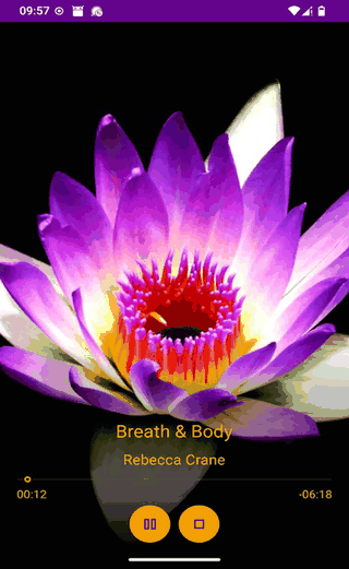 Mindfulness Meditation screenshot