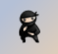 System Ninja