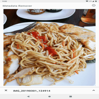 Metadata Remover screenshot