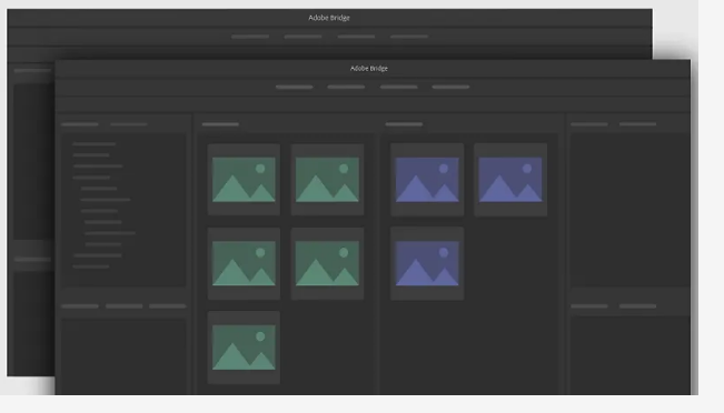 Adobe Bridge 2026 screenshot
