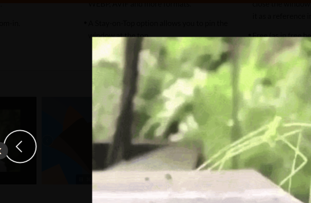 Pineapple Pictures screenshot