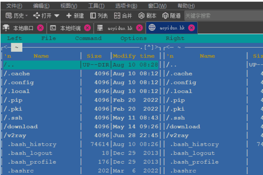 Protocol Fusion Terminal screenshot