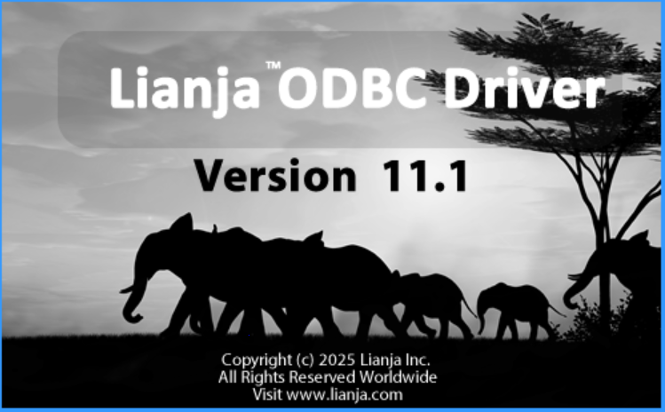 Lianja ODBC Data Source Manager screenshot