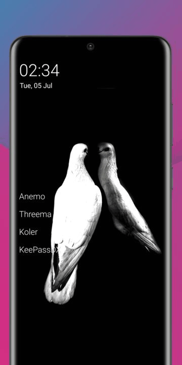 Olauncher Clutter Free screenshot