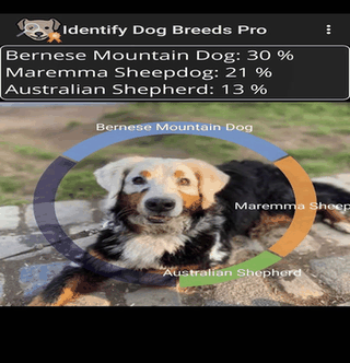 Identify Dog Breeds Pro screenshot