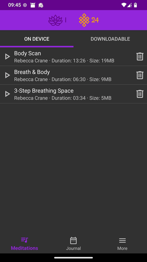 Mindfulness Meditation screenshot