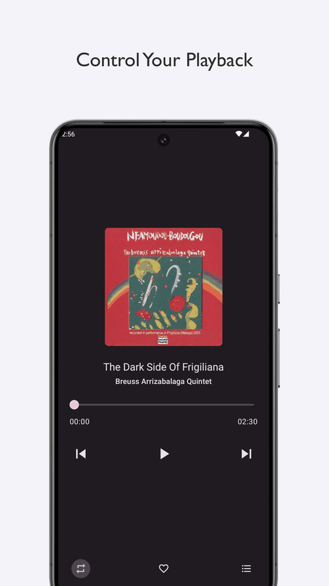 BlackCandy screenshot