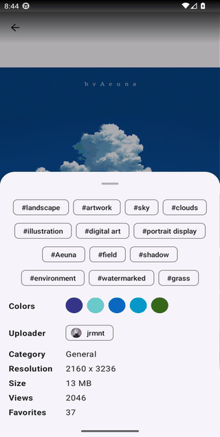 WallFlow Plus screenshot