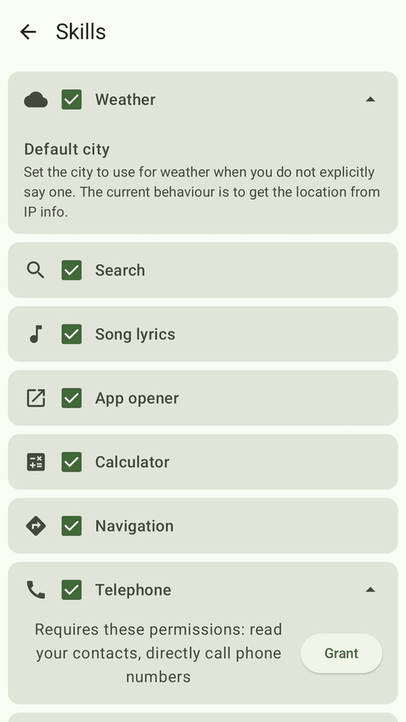 Dicio assistant screenshot