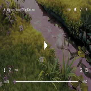 mpvKt: MPV based media player screenshot