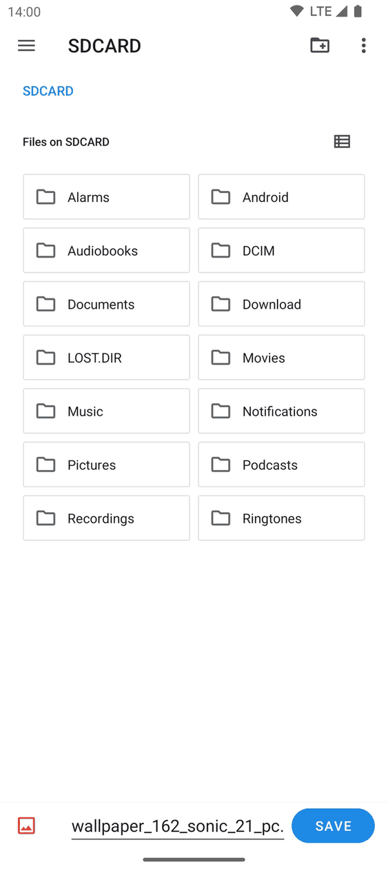 Save Locally screenshot