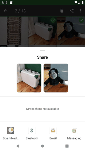 Scrambled Exif screenshot