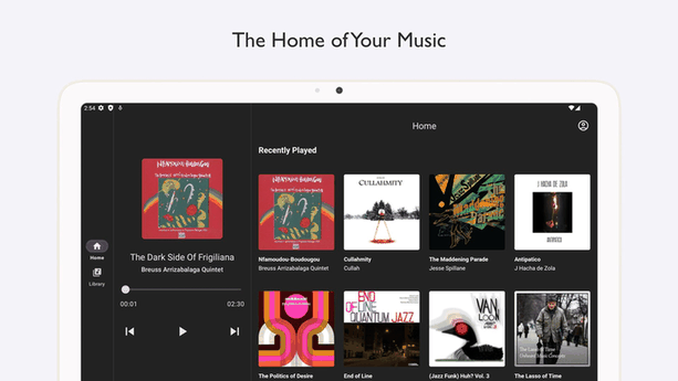 BlackCandy screenshot
