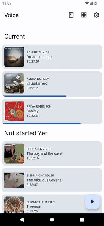 Voice Audiobook Player screenshot