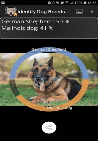 Identify Dog Breeds Pro screenshot