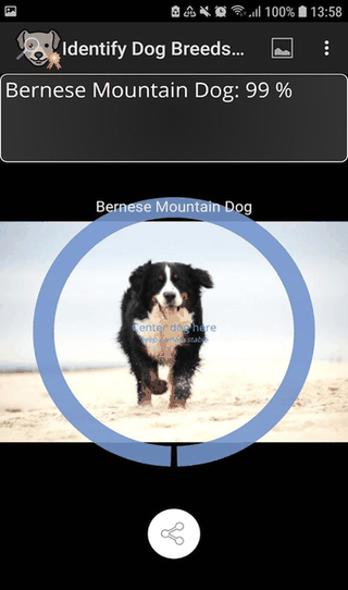 Identify Dog Breeds Pro screenshot