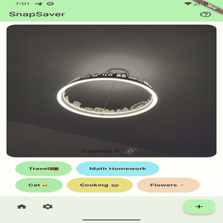 SnapSaver screenshot