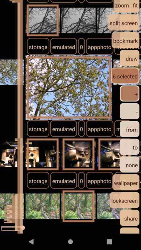 PhotoChiotte screenshot