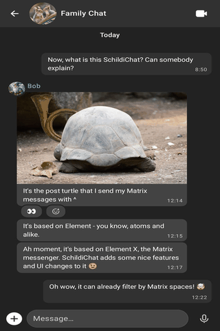SchildiChat Next screenshot