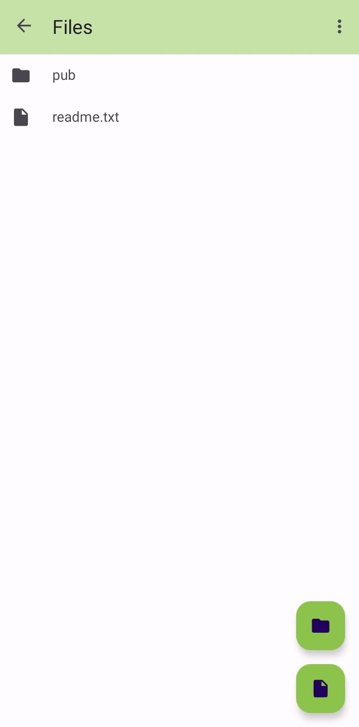 FTPClient screenshot