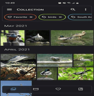 Aves Libre screenshot