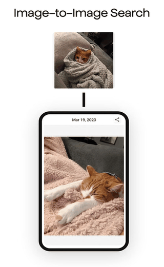 TIDY Text-to-Image Discovery screenshot