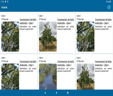 Hamburger screenshot