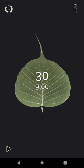 Bodhi Timer screenshot