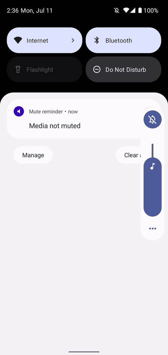 Mute reminder screenshot