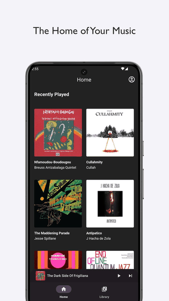 BlackCandy screenshot