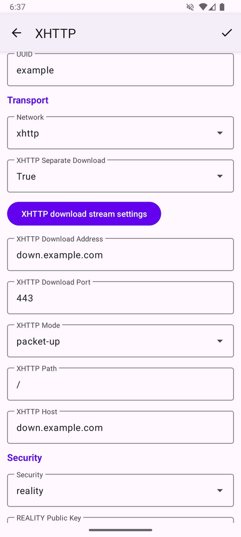 XiVPN screenshot