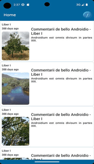 Hamburger screenshot