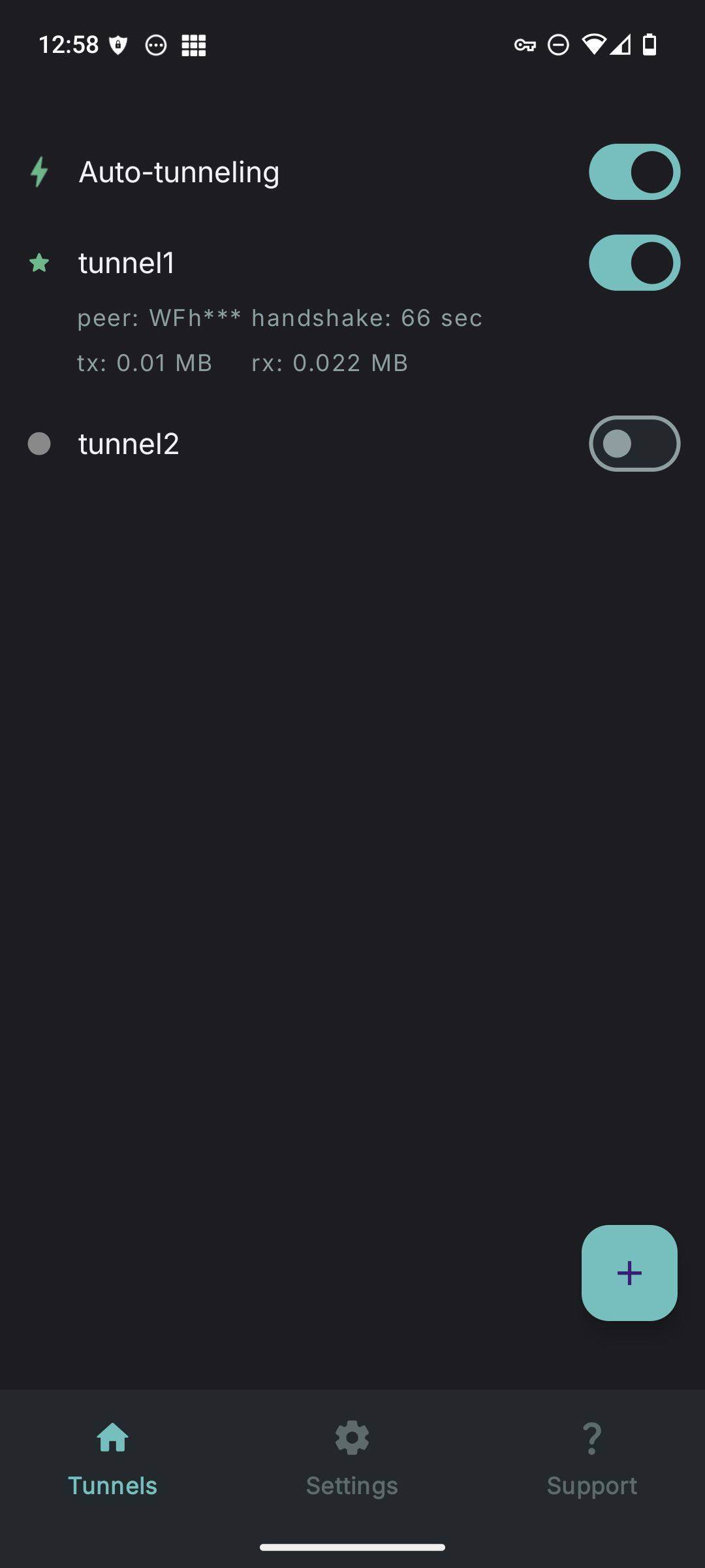 WG Tunnel screenshot