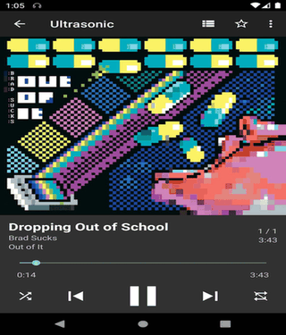 Ultrasonic screenshot