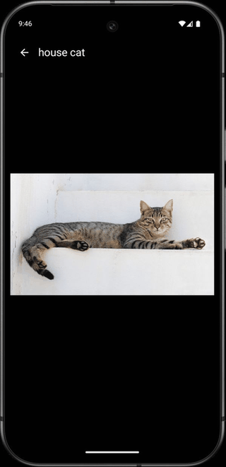 WikiReader screenshot