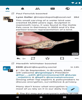 Pachli for Mastodon screenshot