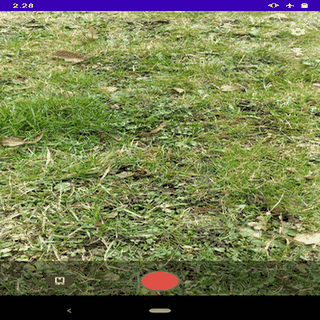 Cryptocam screenshot